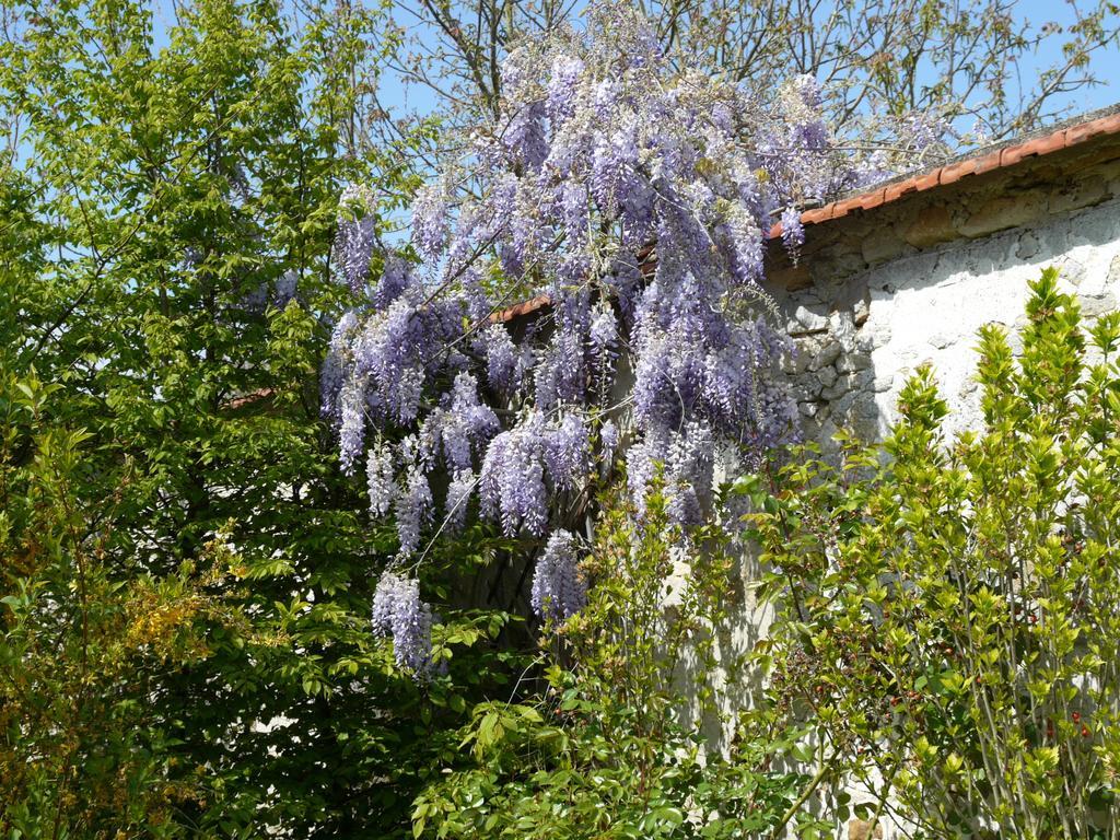 Gites De La Grande Ferme Avernes Rum bild